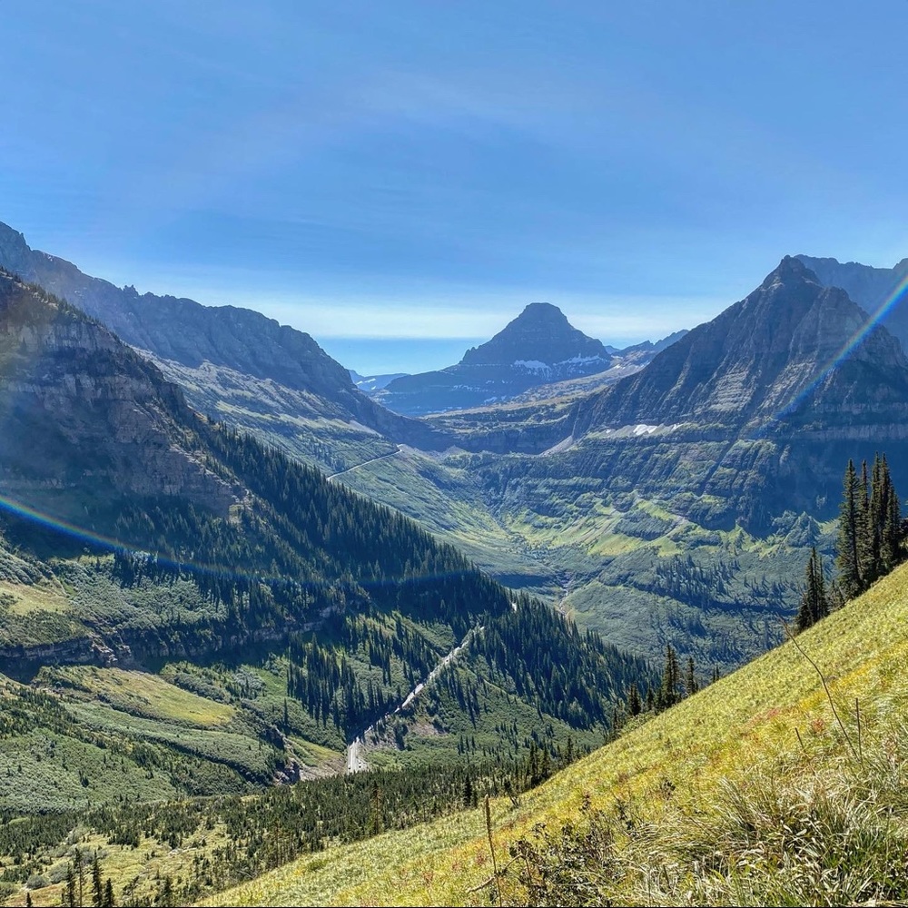 Meet your Posher, Julia